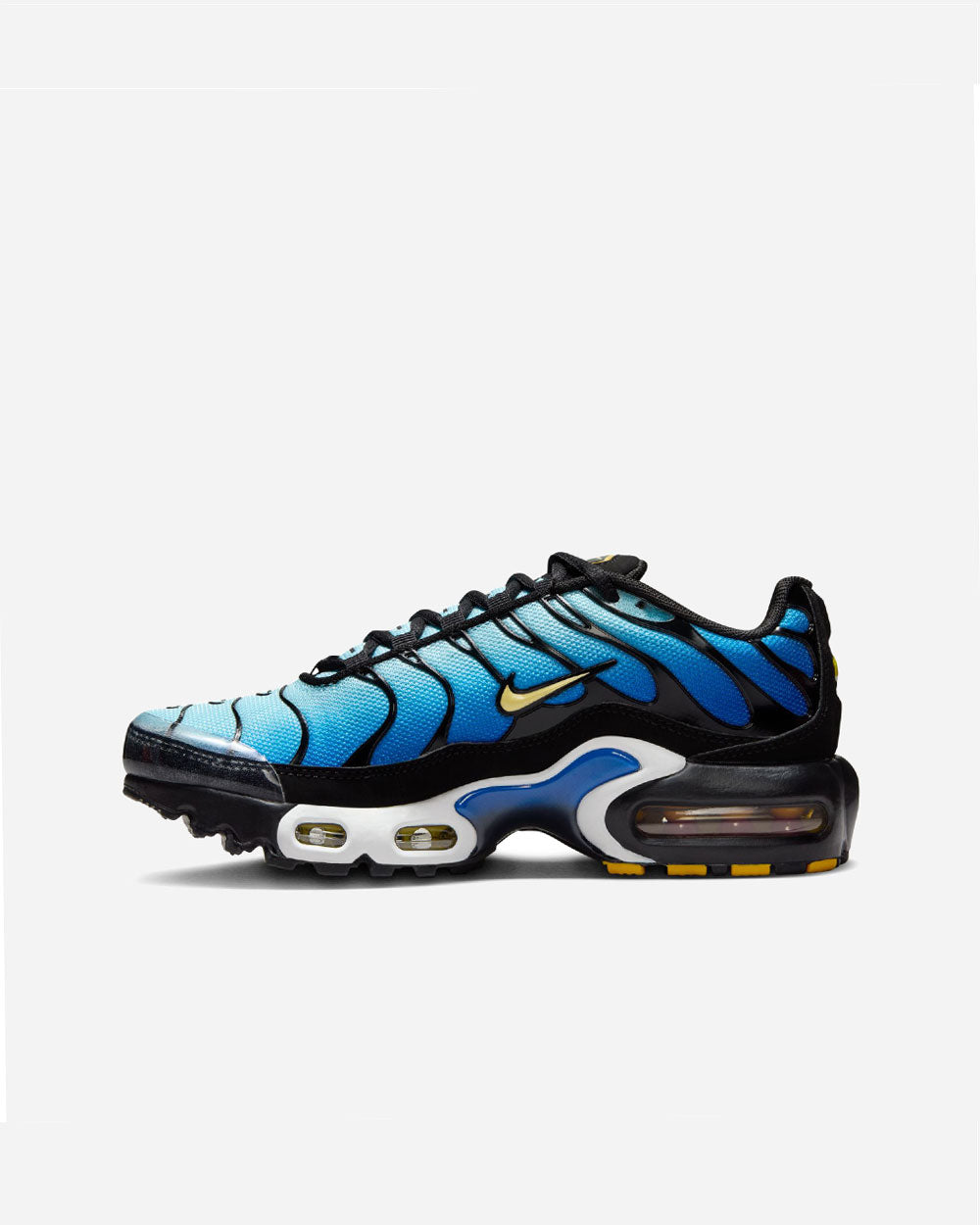 Nike Air Max Plus OG Black/Chamois/Sky Blue/Hyper Blue GS CD0609-032